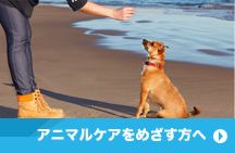 アニマルケアをめざす方へ